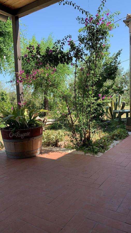 Signor Cesare Agrobistrot B&B サン・ジョバンニ・ロトンド エクステリア 写真
